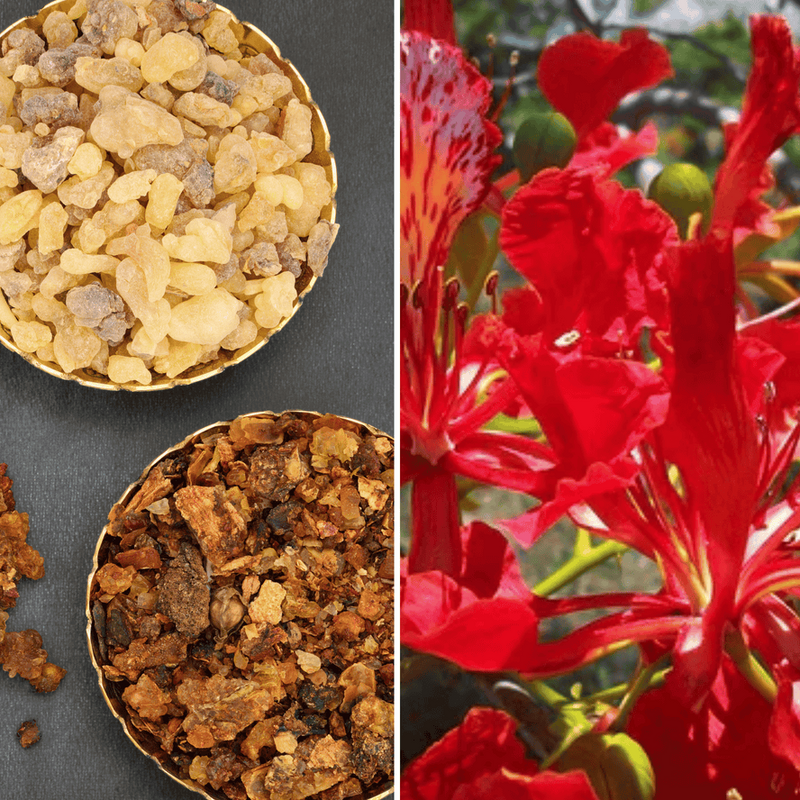 CALMS JOINT IRRITATION